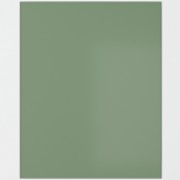 Sage Green Self-Adhesive Glass Splashback